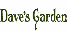 Davesgarden